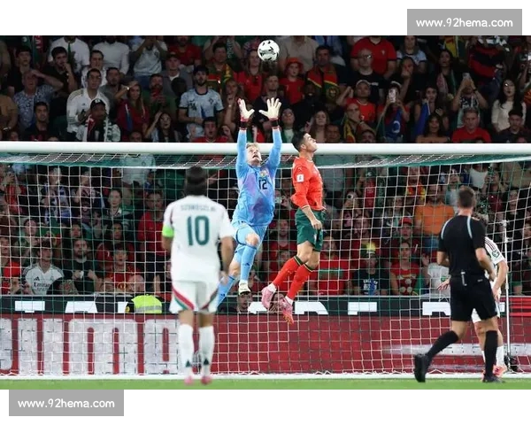 2026年全球顶级体育赛事赛程全面解析精彩赛事不容错过